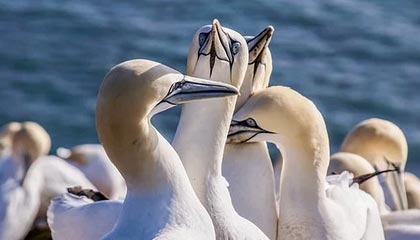 九游-费城76人总经理对未来转会市场信心十足，期待爆发，费城76人队百科